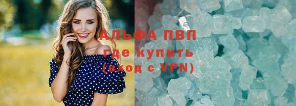 МДПВ Бородино