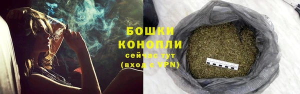 МДПВ Бородино