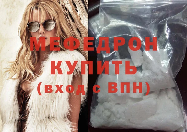 МДПВ Бородино