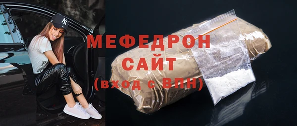 МДПВ Бородино