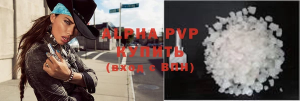 МДПВ Бородино