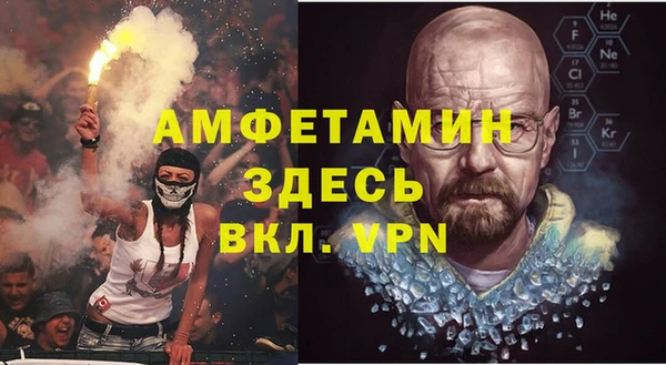 МДПВ Бородино