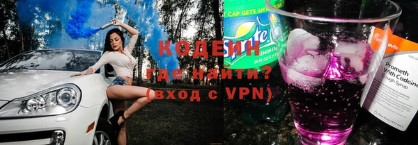 МДПВ Бородино