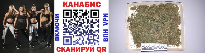 Каннабис ГИДРОПОН Оса